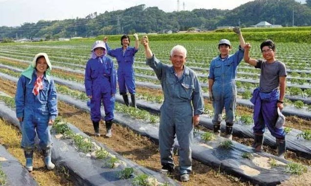 日本勞務(wù)派遣農(nóng)業(yè)類、食品加工、建筑業(yè)、電子業(yè)招聘